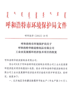 工业水发展循环经济技术项目的批复
